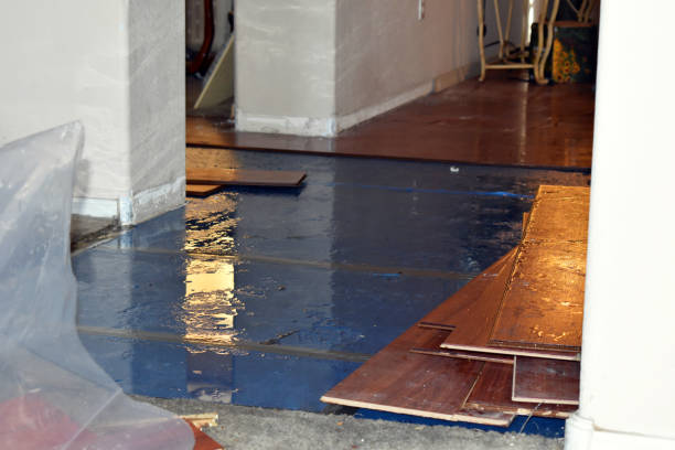 Professional Sewage Cleanup technician working in Blue, AZ